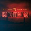 NICK JONAS FEAT. ROBIN SCHULZ — RIGHT NOW